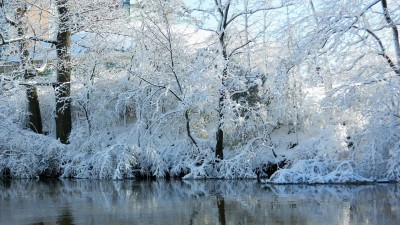 دریاچه-جنگل-زمستان-برف-برفی-طبیعت
